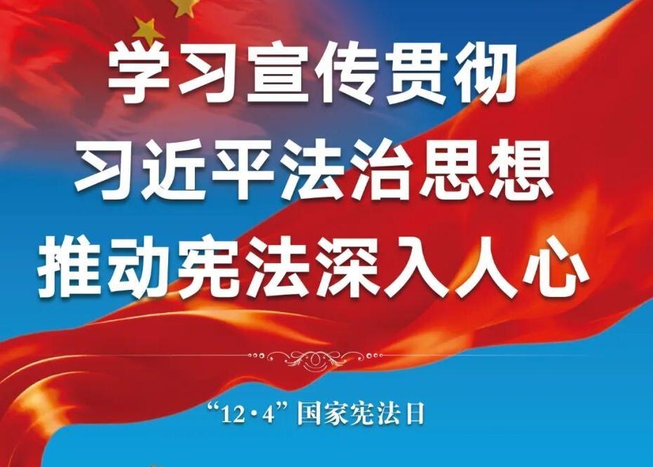 国家宪法日，一起来学习！