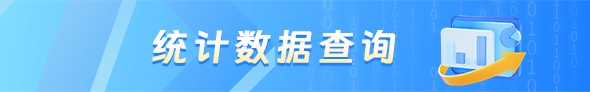 统计数据查询