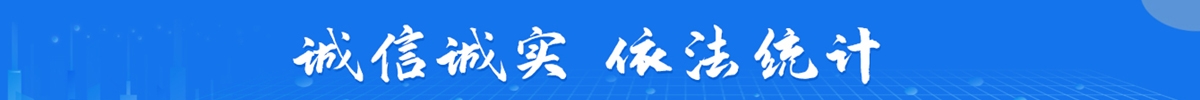 诚信诚实 依法统计