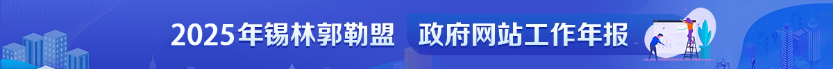 2025年政府网站工作年报